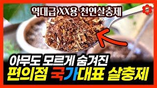 ※ 편의점 한켠에 숨어있는 역대급 살충제 ※ㅣ100% 해충기피제, 이것 하나면 병충해가 사라지는게 아니라 아…