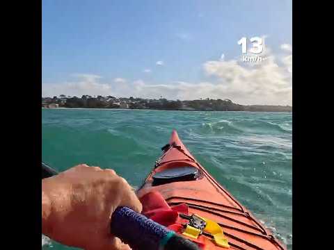 Quality Kayak Penguin #seakayak #seakayaking #kayaker #newzealand