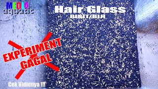 Hair grass GAGAL