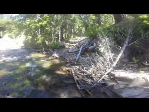 Swamp Lake Hike GOPRO