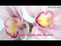 Как хорошо, что есть друзья! 
