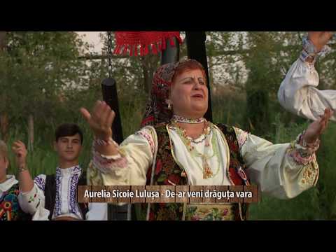 Aurelia Sicoie Lulusa - De - ar veni draguta vara - videoclip standard