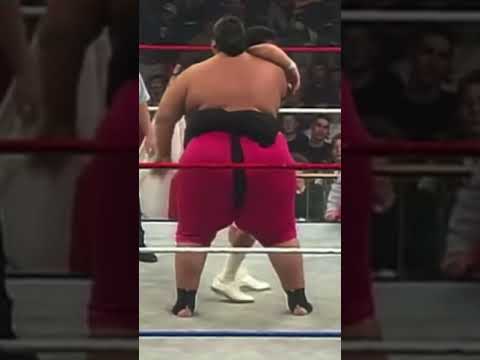 Yokozuna with a DEVASTATING Rock Bottom