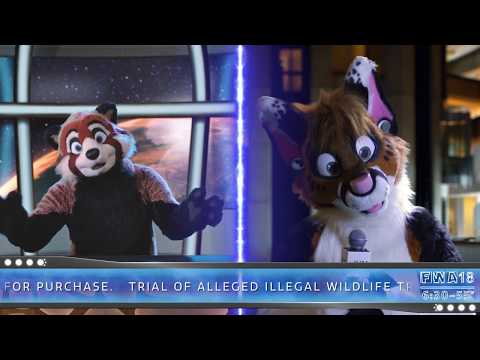 FWA 2018 News from the Edge - Ep 8