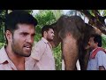 രാമനുണ്ണി ആനയെ കാണാനും വളർത്താനും തു