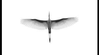 Julianna Barwick - Look Into Your Own Mind