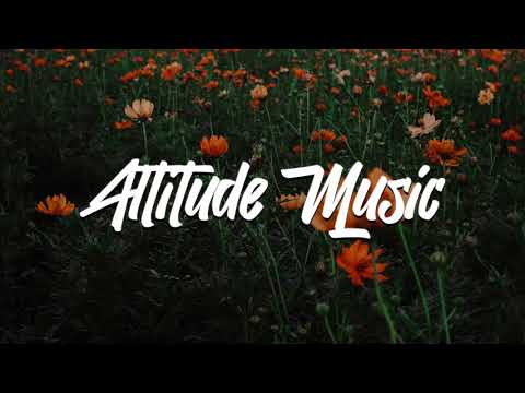 Jaybox & Antony Vibes - Sleepless Nights