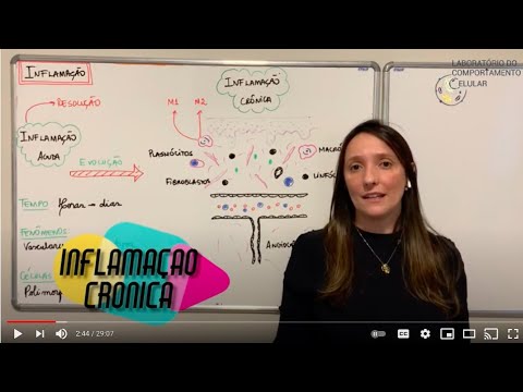 Patologia Geral - Aula Teórica -  Inflamação Crônica