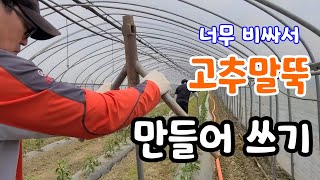 고추말뚝 너무 비싸서 만들기!!  고추 정식 30일째 순치는법 진딧물 방제