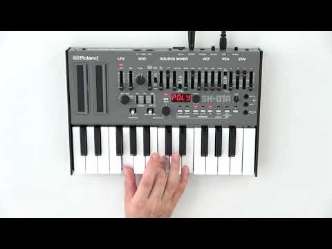 “Assign Mode” Roland SH-01A #03