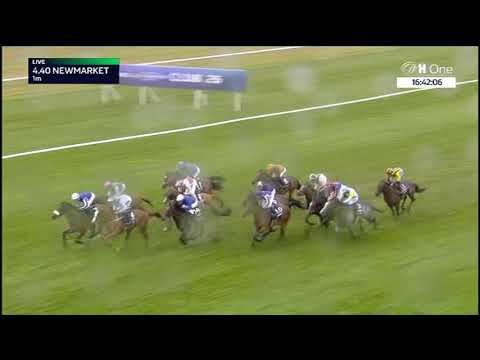 2000 Guineas Stakes - Gruppe 1