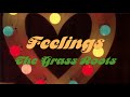The Grass Roots - Feelings