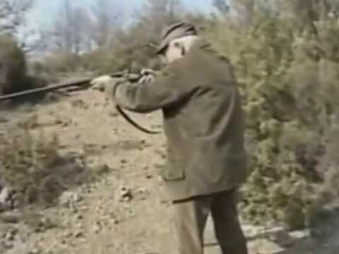 ONDA TG 30.08.2012 - ALLARME CINGHIALI