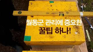 월동군 관리에 중요한 꿀팁 하나