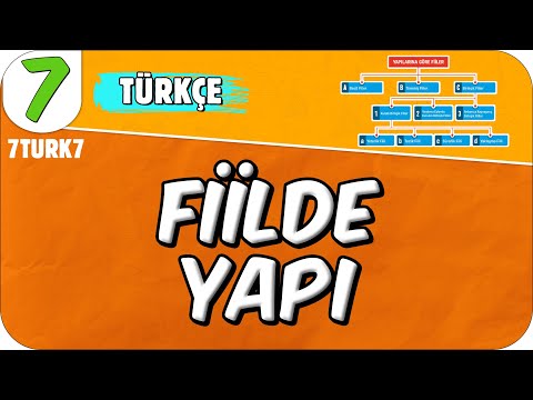 Fiilde Yapı 📙 7. Sınıf Türkçe #2025