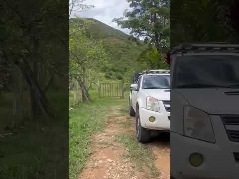 FINCA EN VENTA BUENAVISTA - CUNDAY - TOLIMA (32 HECTAREAS)