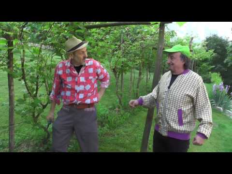 Momenti Instabili #4