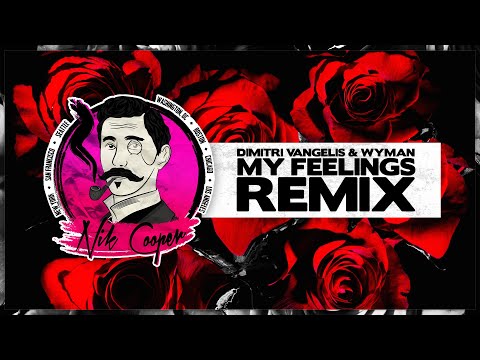 Serhat Durmus vs. Dimitri Vangelis & Wyman - My Feelings ft. Georgia Ku