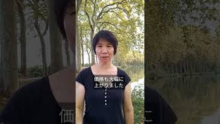 フランス在住20年の現地リポート!今年の猛暑とクーラーのない暮らし