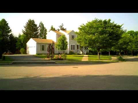 KING CRAZY JACK - trailer