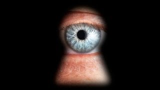 Spy On Guests! Free Villa Rental Email Marketing & Website Software Tips