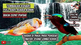Download lagu Masteran KONIN NEMBAK KENARI SAMBUNG JANGKRIK mp3 Download lagu Masteran KONIN NEMBAK KENARI SAMBUNG JANGKRIK mp3