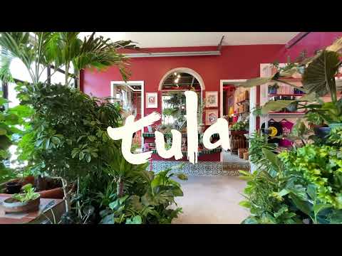 Tula's Terrific Tour