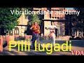 pili lugadi  rajasthani dance tadka choreography by surendra singh rathore