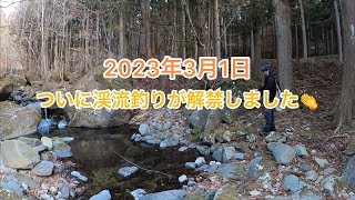 【渓流釣り】待ちに待った渓流釣りが解禁しました！