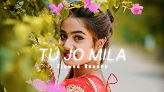 Download lagu Tu Jo Mila [Slowed   Reverb] K.K. | Bajrangi Bhaijaan | Bollywood lofi song | Lonely Lad mp3
