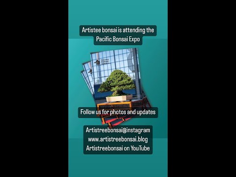 Artistree bonsai@Pacific Bonsai Expo 2022 Part 3