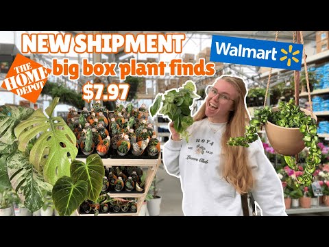 🥳 walmart got new plants 🤩 $7 plant finds and fails ☠️