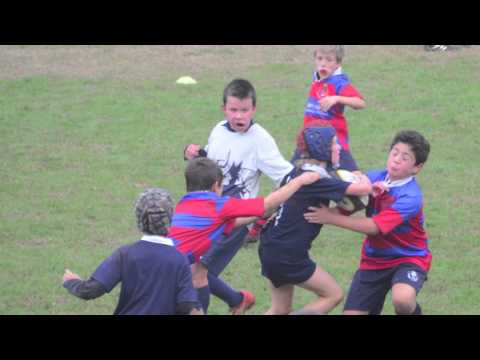 CUS Pavia Rugby Under 10 Albairate