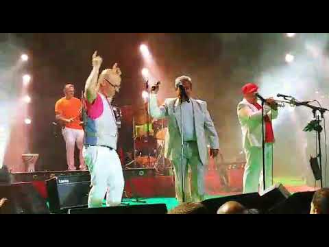 Live in ashdod with tea packs