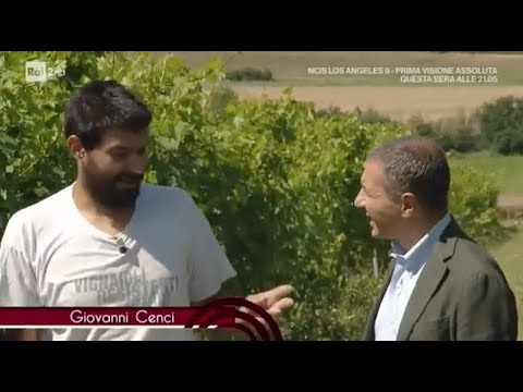 CANTINA CENCI - Signori del vino  RAIDUE