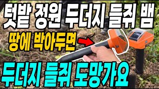 친환경적인 방법으로 두더지 뱀 퇴치하기! 땅에 박아두면 끝! 두더지 들쥐 뱀 싹보내는 싹보내퇴치기!