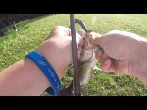 Fishing Senkos and Frogs at a *Secret* Pond In Massachusetts