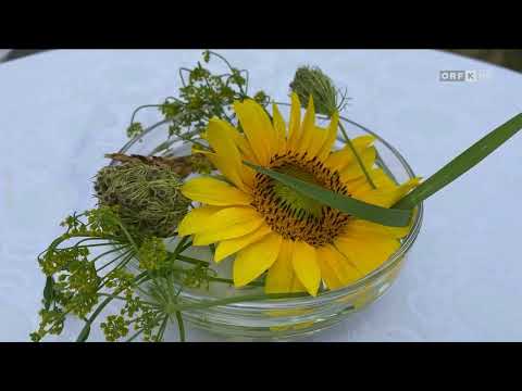 Dober dan, Koroška, 24.07.2022 - Sarah Wiener