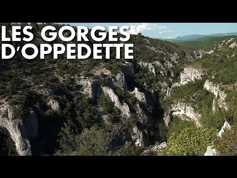 Video vignette