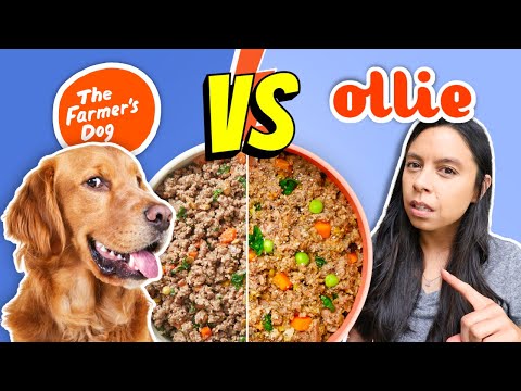 YouTube video about: How much does ollie dog food cost?