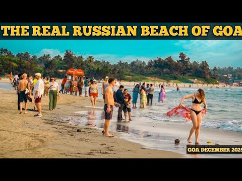 The Real Russian Beach Of Goa | The Best Beach Of North Goa | Goa Beach | Mandrem Beach | Goa Vlog