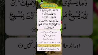 Download lagu Surah Fatir Ayat 19-23 👈☝️ || #shorts #youtubeshorts #shortfeed #shortvideo #shortsquran mp3 Download lagu Surah Fatir Ayat 19-23 👈☝️ || #shorts #youtubeshorts #shortfeed #shortvideo #shortsquran mp3