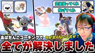メタナイトの始祖あばだんごからガチアドバイス。バ難問題、キャラ対を簡潔に教わるまさし【スマブラSP】