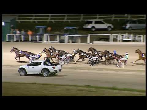 Trotto 10/07/2020 - 8ª corsa