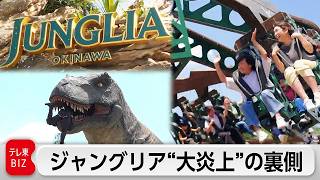 ジャングリア沖縄 開業1年･･･SNS大炎上からの反転攻勢と知られざる地元の“その後”に密着！【ガイアの夜明け】