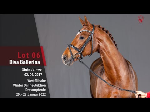 Winter Online-Auktion Lot 6 Diva Ballerina Stute v. Don Nobless - Beltoni