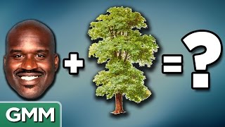 The Missing Link (GAME)