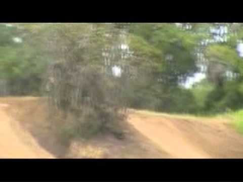 2010 Gatorback Goldcup Round 1