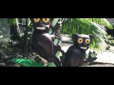 First time in BOHOL : Bohol adventure