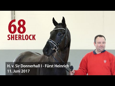 68  Sherlock Hengst v. Sir Donnerhall I - Fürst Heinrich